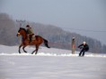 Horseskijöring